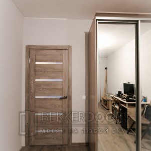 Дверь DUPLEX Дуб Шале седой, стекло Мателюкс