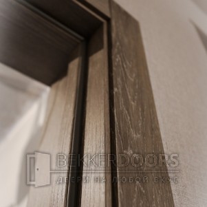 Дверь DUPLEX Дуб Шале седой, стекло Мателюкс
