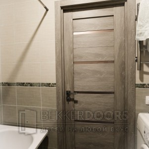 Дверь DUPLEX Дуб Шале седой, стекло Мателюкс