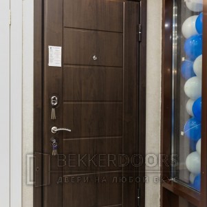 Дверь ДМ М7(7X)