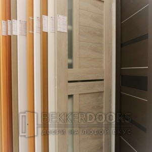 Дверь DUPLEX 3
