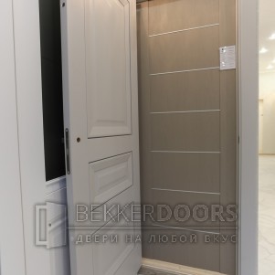  Дверь 2.07XN AL