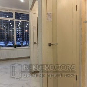  Дверь  62U