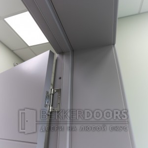 Дверь 50ДО02 Тривиа Эмаль светло-серая