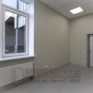Дверь 50ДО02 Тривиа Эмаль светло-серая