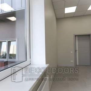 Дверь 50ДО02 Тривиа Эмаль светло-серая