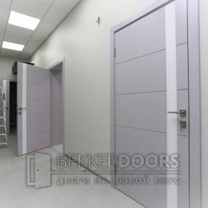 Дверь 50ДО02 Тривиа Эмаль светло-серая