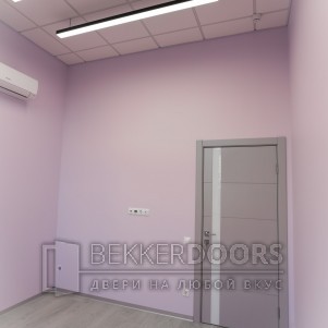 Дверь 50ДО02 Тривиа Эмаль светло-серая