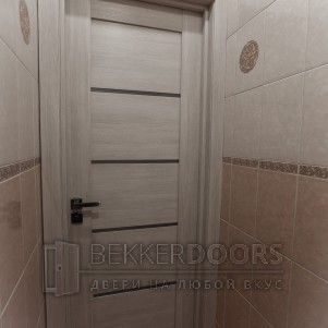 Дверь Горизонталь 1 ПО в цвете Капучино