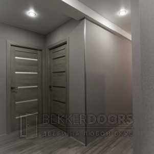 Дверь DUPLEX  в цвете Дуб Шале седой ст. Мателюкс