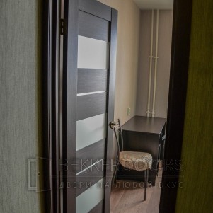 Дверь DUPLEX12,цвет Венге,стекло Мателюкс